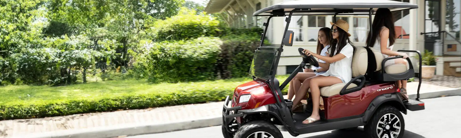 2024 Club Car® Golf Cart for sale in Brown's Service Wisconsin Golf, Walworth, Wisconsin